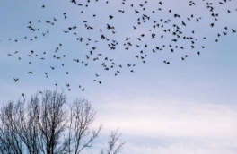 Народные приметы 22 марта: что можно и нельзя делать в этот день