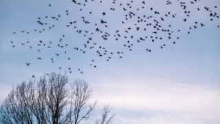 Народные приметы 22 марта: что можно и нельзя делать в этот день