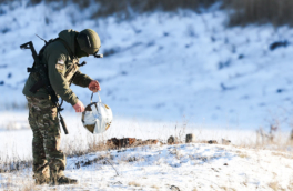 Авиабомбу времен ВОВ выбросило на берег Можайского водохранилища в Подмосковье