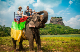 Застрявший на Шри-Ланке россиянин рассказал о реальном отношении к туристам