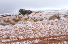 Седьмой случай за 40 лет: в Сахаре выпал снег