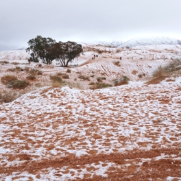 Седьмой случай за 40 лет: в Сахаре выпал снег