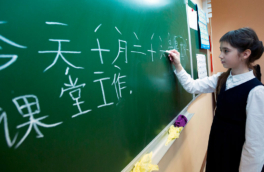 Второй иностранный язык в старших классах школы не будет обязательным, заявили в Минпросвещения