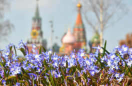 Погода порадует теплом и солнцем: метеорологическая весна придет в Москву 10 марта