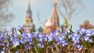 Погода порадует теплом и солнцем: метеорологическая весна придет в Москву 10 марта