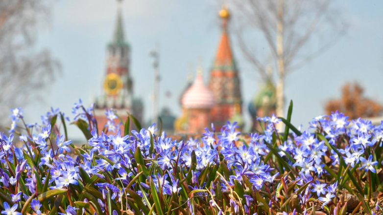 Погода порадует теплом и солнцем: метеорологическая весна придет в Москву 10 марта