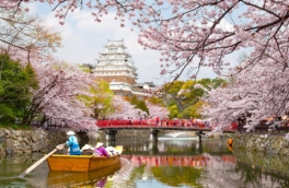 Российские туристы массово уедут на майские праздники в одну страну