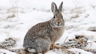 Народные приметы 23 марта: что можно и нельзя делать в этот день