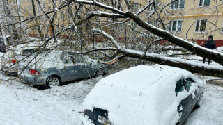 1,3 тыс. деревьев повалил ветер в Подмосковье, пострадало 7 человек, повреждено более 500 автомобилей