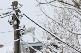 Жители нескольких округов Подмосковья остались без света из-за непогоды