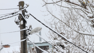 Жители нескольких округов Подмосковья остались без света из-за непогоды
