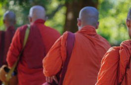 В аэропорту Шри-Ланки задержаны 22 монаха с более 110 кг наркотиков