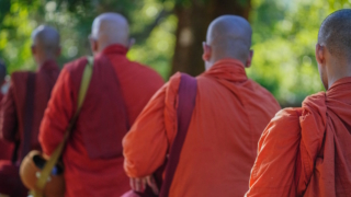 В аэропорту Шри-Ланки задержаны 22 монаха с более 110 кг наркотиков