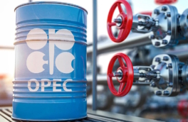 Выход ОАЭ из ОПЕК: что думают эксперты