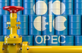 Россия не планирует выходить из ОПЕК+