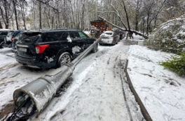 Москвичей предупредили о ненастье