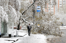 Из-за непогоды 31 человек госпитализирован, один ребенок погиб