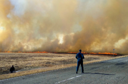 МЧС предупредило о ландшафтных пожарах и риске паводков в Сибири