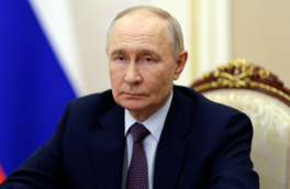 Путин обсудил с Совбезом вопрос развития отрасли редкоземельных металлов