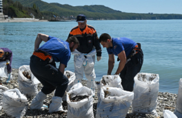 4165 кубометров загрязненного нефтепродуктами грунта собрано в Туапсе