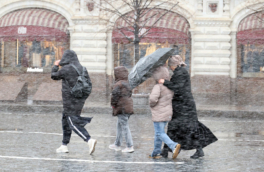 "Погоды не будет": на 1 Мая в Москве прогнозируют снег с дождем