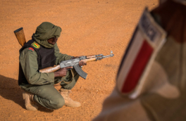 В Минобороны РФ сообщили о предотвращении попытки госпереворота в Мали