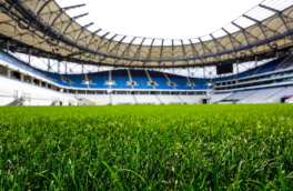 Сборная России по футболу проведет товарищеские матчи с Египтом, Буркина-Фасо и Тринидадом