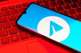 В Испании и Италии выявили Telegram-каналы с детской порнографией