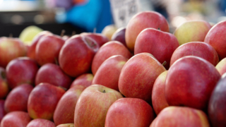 Трутнев потребовал объяснить цену яблока по 300 руб. на Чукотке
