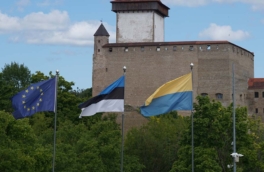 Власти Эстонии ждут от Украины лучшего контроля над БПЛА
