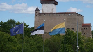 Власти Эстонии ждут от Украины лучшего контроля над БПЛА