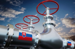 Словакия рассматривает прямые закупки российской нефти