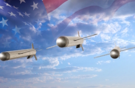 США начнут серийный выпуск недорогих крылатых ракет в сентябре