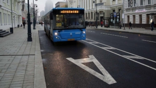 В Москве откроют 3 новых участка выделенных полос