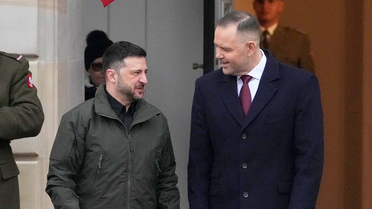 Зеленский Навроцкий
