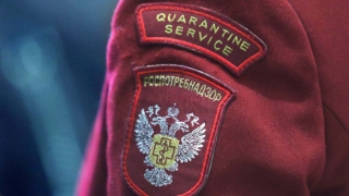 Риска распространения лихорадки денге в РФ нет, указывают в Роспотребнадзоре