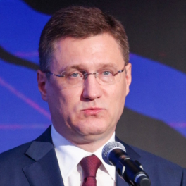 Новак поручил принять дополнительные меры для насыщения топливного рынка