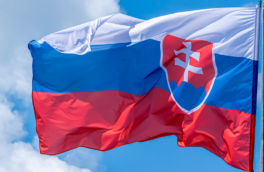 Посольство Словакии уточнило порядок выдачи виз россиянам