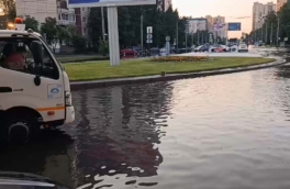 Две женщины погибли, повалены вековые деревья, подтоплены дороги: последствия непогоды в Санкт-Петербурге и Ленобласти