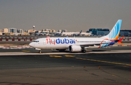 В Минобороны Израиля назвали инцидент на борту Flydubai попыткой джихадистского теракта