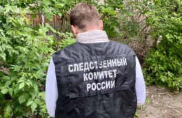 Два человека погибли после нападения медведя в лесу в Томской области