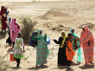 Судан ищет инвестиции: насколько велики риски для долгосрочных вложений